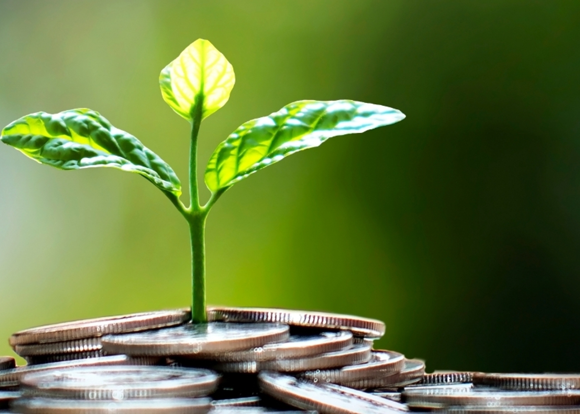Why sustainable investing should be part of your investment strategy
