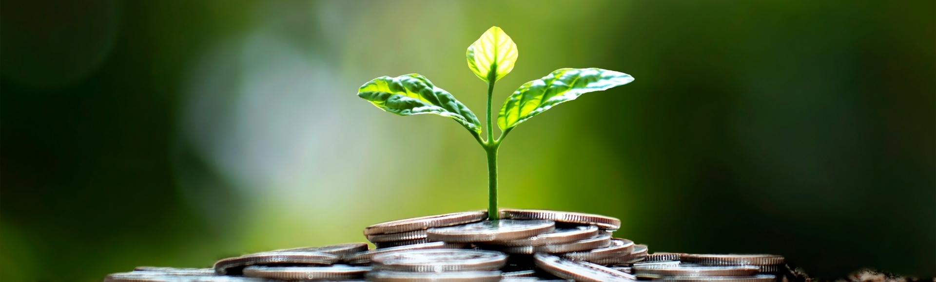 Why sustainable investing should be part of your investment strategy
