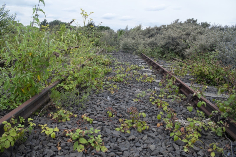 What are brownfield sites - body image showing disused railway line